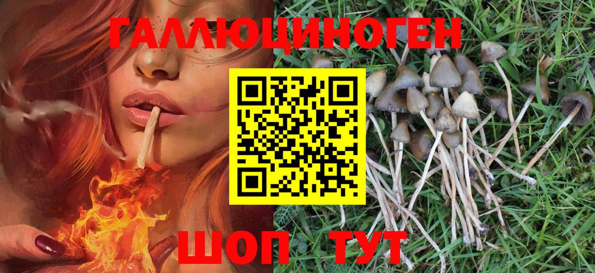наркошоп  Псилоцибиновые грибы MAGIC MUSHROOMS  Галлюциногенные грибы Cubensis  Вход с VPN  Апшеронск 