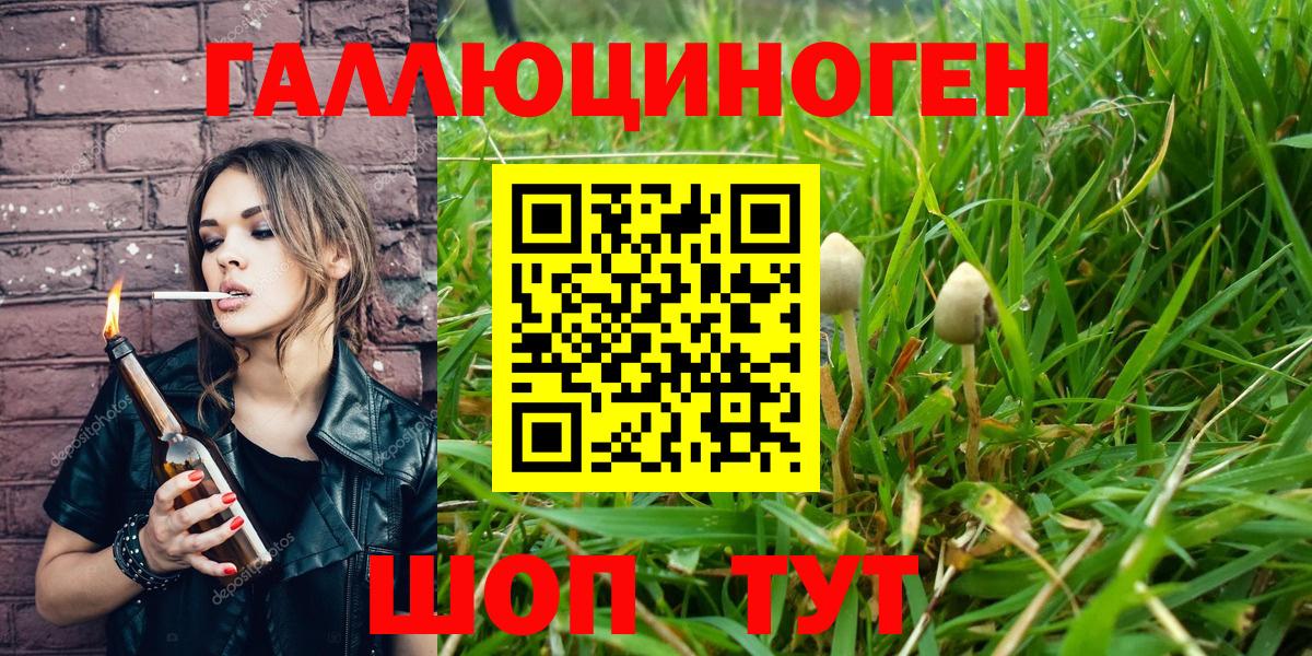 Меф мяу мяу Апшеронск